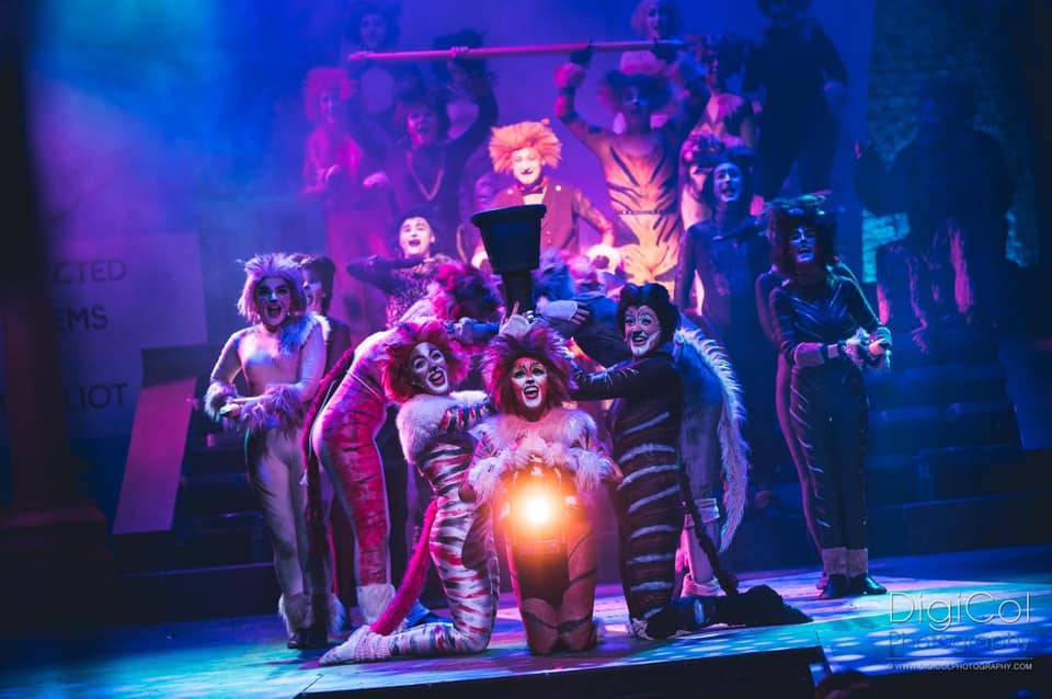 cats musical theatre royal