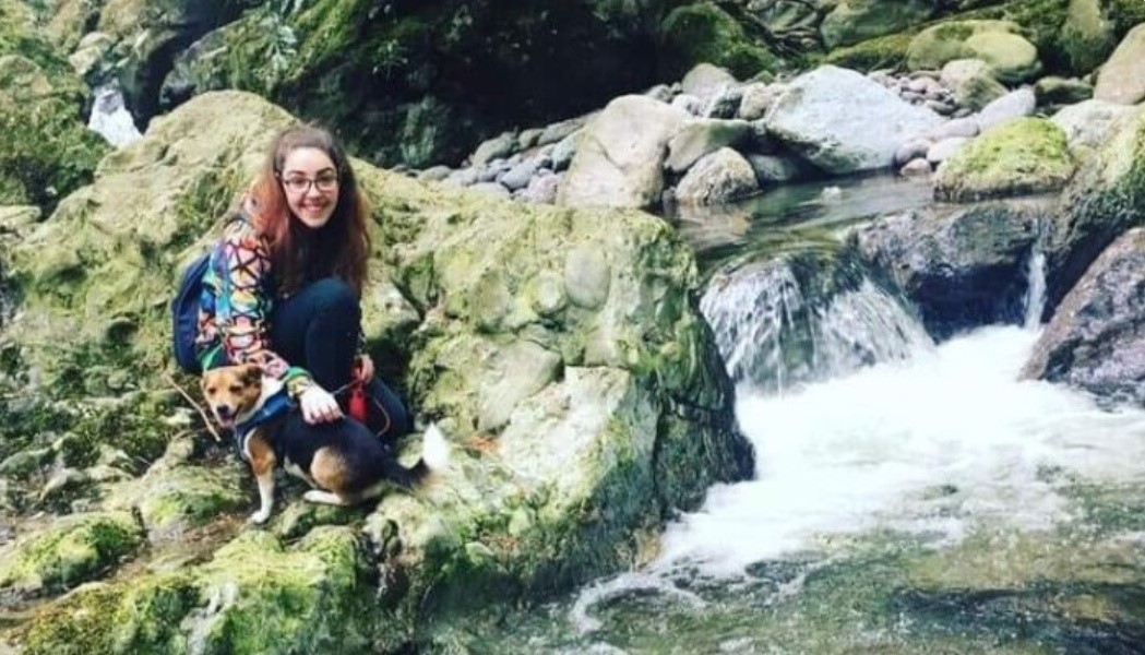 gofundme dogs dog tricks