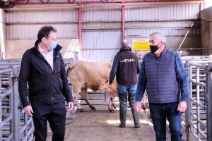 Waterford-New Ross Mart